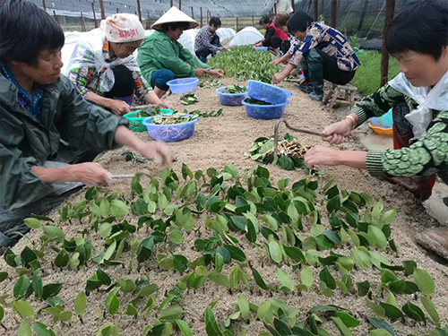 生产展示